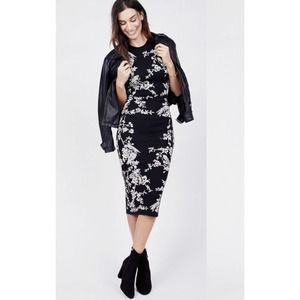 RACHEL Rachel Roy Knit Midi Floral Hummingbird Sweater Dress